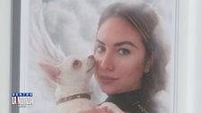 Pamela Genini: "Ricerche web di Dolci su tombe e pollini"
