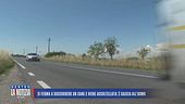 Si ferma a soccorrere un cane e viene accoltellata: è caccia all'uomo