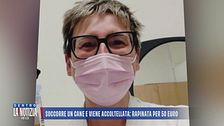 Soccorre un cane e viene accoltellata: rapinata per 50 euro