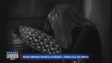 Picchia compagna con mazza da baseball: l'incubo della sua famiglia