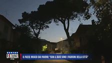 Il paese invaso dai pavoni: "Con il buio sono i padroni della città"