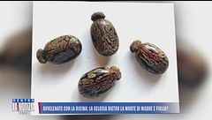 Avvelenate con la ricina: la gelosia dietro la morte di madre e figlia?