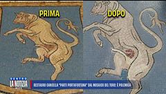 Restauro cancella "parti portafortuna" dal mosaico del toro