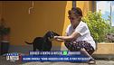 Allarme cinghiali a Montedivalli: "Hanno aggredito il mio cane"