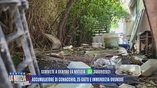 Accumulatore di Comacchio, 25 gatti e immondizia ovunque