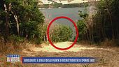 Avvelenate, il giallo della pianta di ricino sulle sponde del lago