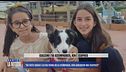 Sorelle scomparse: "Ho visto Sarah e Alysia prima della scomparsa, non sarebbero mai scappate"
