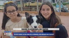 Sorelle scomparse: "Ho visto Sarah e Alysia prima della scomparsa, non sarebbero mai scappate"