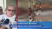 Accumulatore di Comacchio, 25 gatti e immondizia ovunque