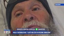 Comacchio, parla l'accumulatore: "I gatti mai stati in pessime condizioni"