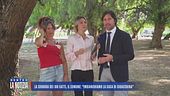 La signora dei 100 gatti, il comune: "Imbianchiamo la casa di Gioacchina"