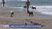 Spiagge d'Italia, favorevoli o contrari ai cani in spiaggia?