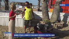 Spiagge d'Italia: a Rimini lo stabilimento dedicato ai quattro zampe