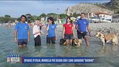 Spiagge d'Italia, Mondello più sicura con i cani labrador "bagnini"