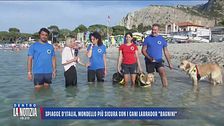Spiagge d'Italia, Mondello più sicura con i cani labrador "bagnini"
