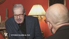 Vittorio Sgarbi al Tg5