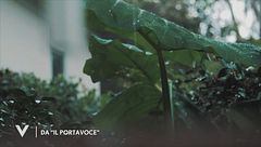 Da "Il portavoce" di Rocco Casalino