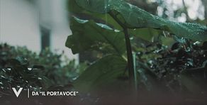 Da "Il portavoce" di Rocco Casalino