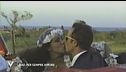 Raf: per sempre amore