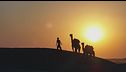 Ep. 1 - Il Rajasthan: un tragitto selvaggio e frenetico