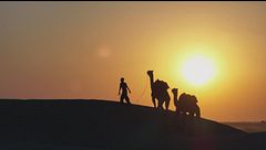 Ep. 1 - Il Rajasthan: un tragitto selvaggio e frenetico