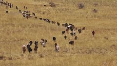 Ep. 3 - Attraverso il Serengeti, tra passato e futuro