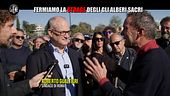 ROMA: Fermiamo la strage degli alberi sacri