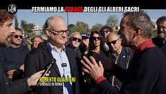 ROMA: Fermiamo la strage degli alberi sacri