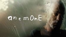 Anemone