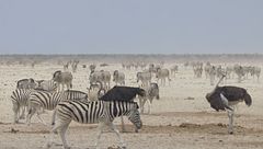 Ep. 2 - Piccoli eroi, grandi cacciatori