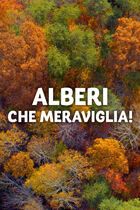 Alberi, che meraviglia!