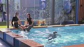 Risate e scherzi in piscina