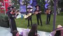 Mariachi di nuovo in Casa