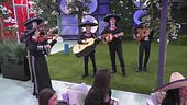 Mariachi di nuovo in Casa