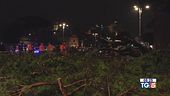 Ondata di maltempo Crolla un pino a Roma