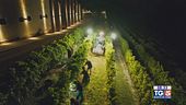 Gusto diVino: il Ruchè