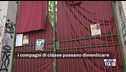 Caccia agli istigatori, "Continuava a scusarsi"