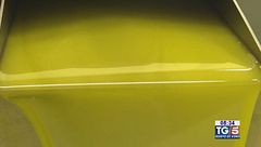 Gusto di Vino -  La camminata degli ulivi