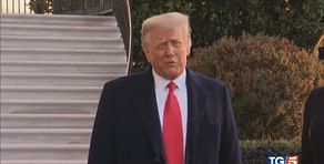 Groenlandia dazi vs dazi