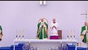 Papa Leone a Lourdes "Male viene dall'uomo"