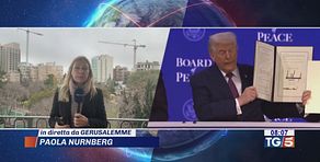 Fondazione Board Peace dell'Ue solo Ungheria