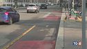 Identificati i 2 sciacalli?
