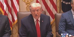 La tregua del gelo, Putin ha detto sì