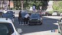 Banda della minicar nera, il cerchio si stringe