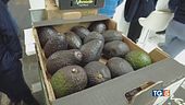 Dall'avocado al mango boom di frutta esotica