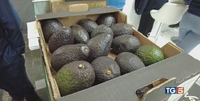Dall'avocado al mango boom di frutta esotica