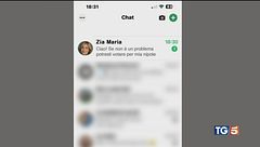 "Vota per mia nipote", la truffa su Whatsapp