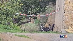 Bimba morta, indagato compagno della madre