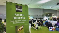 Gusto di Vino - il  legame tra vino e olio