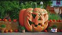Tutti pronti per Halloween